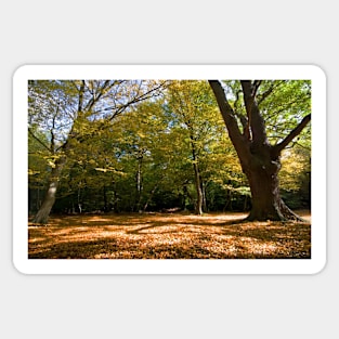 Carpet of Leaves Sticker